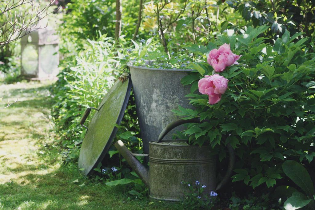 Le Bonheur A La Campagne Bed & Breakfast Lesmont Luaran gambar