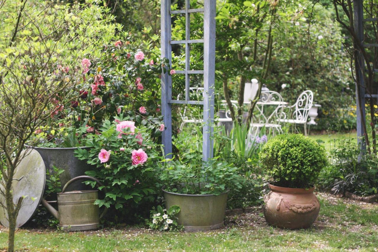 Le Bonheur A La Campagne Bed & Breakfast Lesmont Luaran gambar